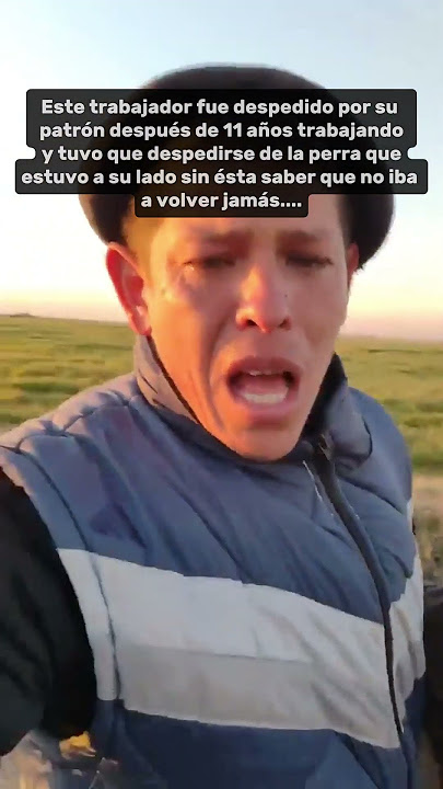 Lo Despidieron Despues De 11 Anos Y Llora Porque No Volvera A Ver A Su Companera Siempre Fiel