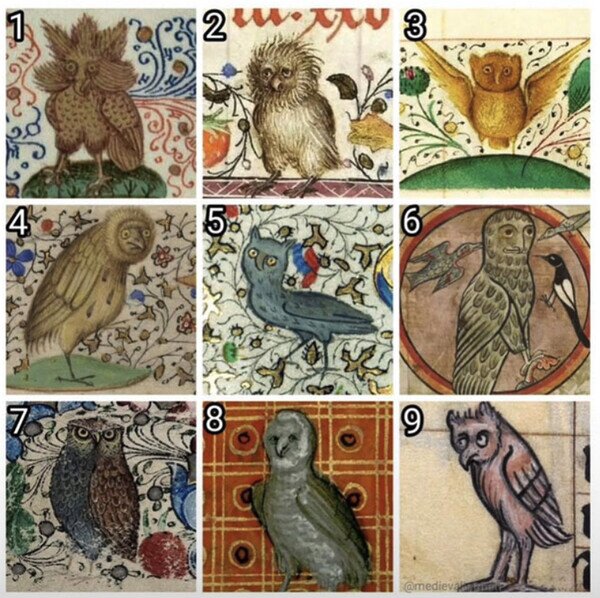 En La Escala De Buhos Medievales ¿como Te Sientes Hoy