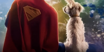 ¡krypto Lo Logro El Nuevo Superman De James Gunn Disparo Las Adopciones De Perros 🐶✨