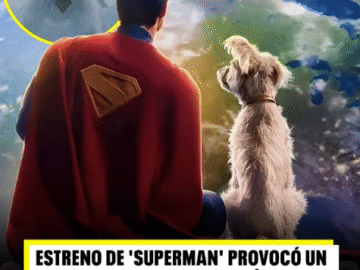 ¡krypto Lo Logro El Nuevo Superman De James Gunn Disparo Las Adopciones De Perros 🐶✨