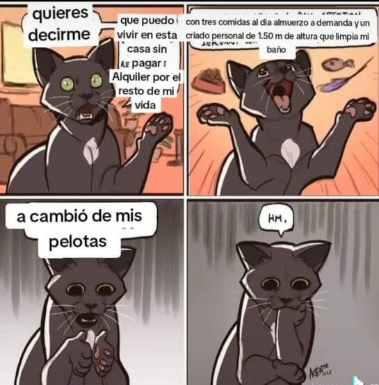 Una decisión complicada. 7 G17rSuoXgAAvrT61