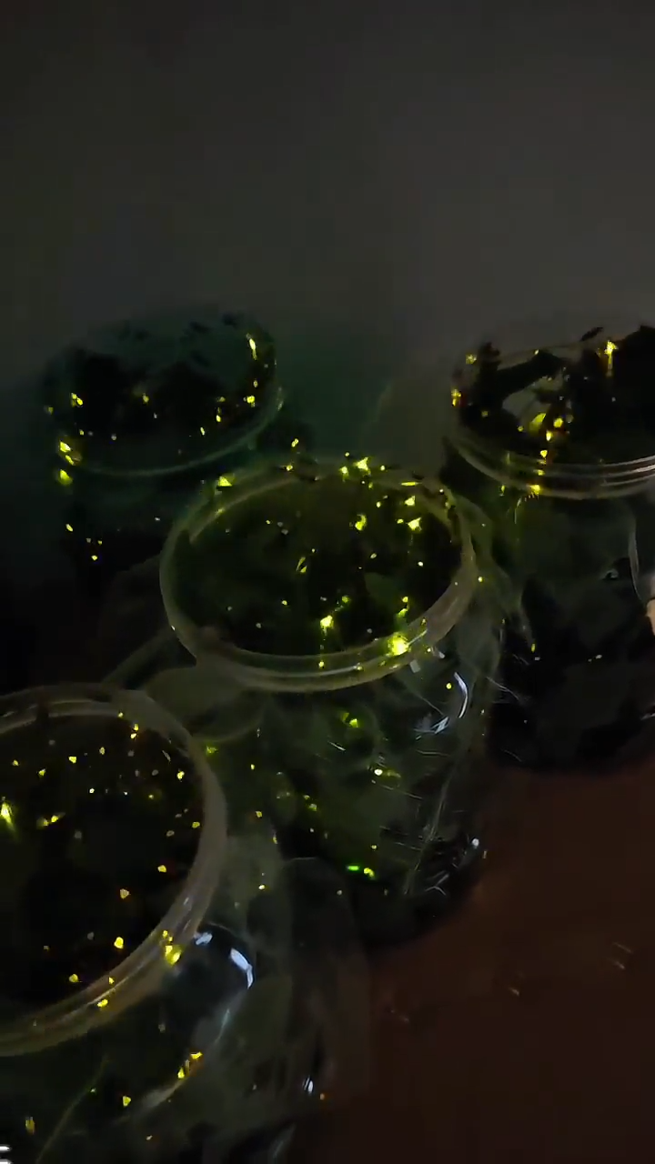 Lamparas Para Pobres