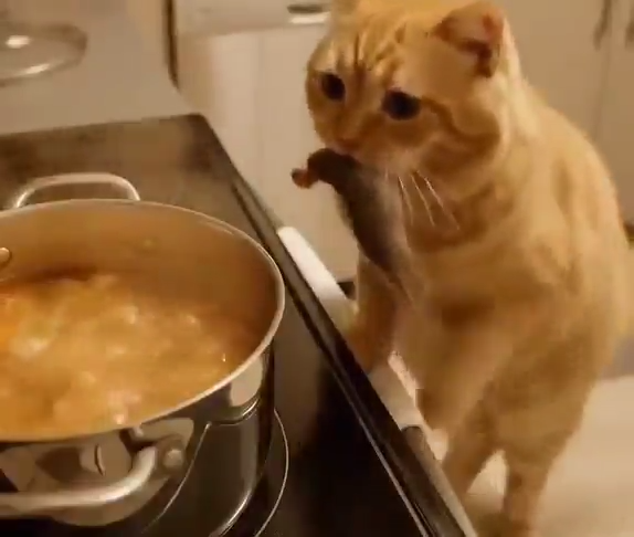 Mejorando la receta de la Karen... 1 Mejorando La Receta De La Karen