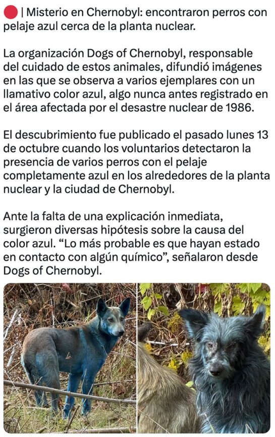 Captura de Pantalla 2025 10 30 a las 23.07.54