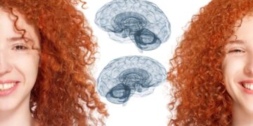 los gemelos idénticos pueden tener diferencias significativas en el coeficiente intelectual