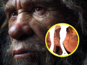 Un hallazgo en Crimea demuestra que los neandertales usaron ‘lápices’ de ocre para crear las primeras expresiones de arte simbólico