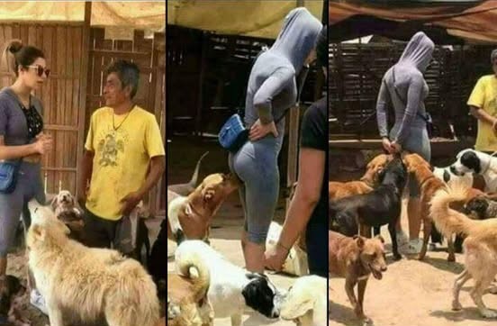 466492900 24109193325336635 2271414987055467196 n