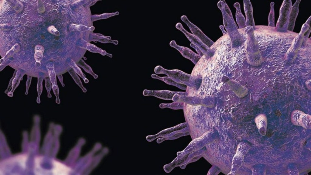 El Lupus finalmente tiene un claro culpable, es un virus común llevado por el 95% de nosotros 1 lupus - lupus