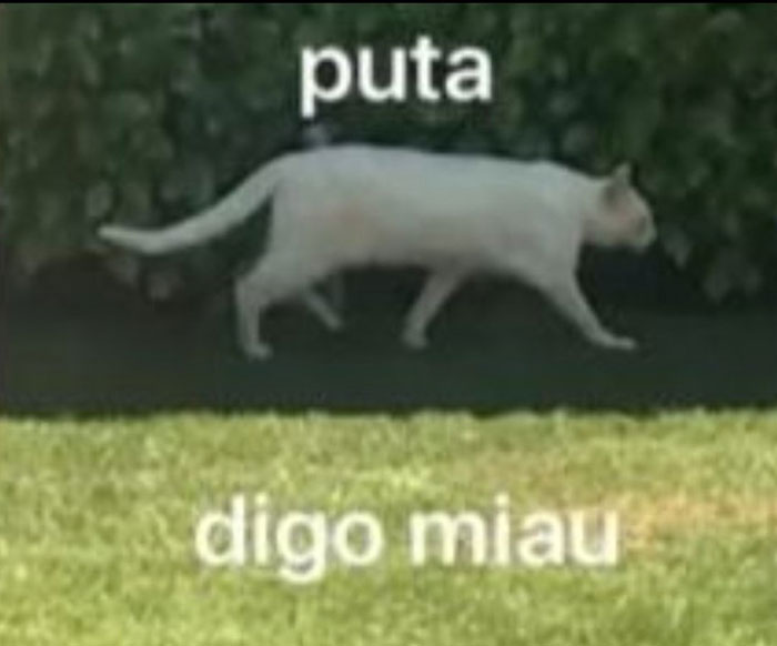 Una chica de 19 años da a luz a gemelos de padres diferentes. 4