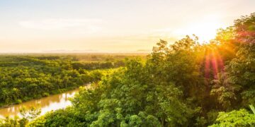 Psicodélicos en la cultura hispana y la medicina moderna