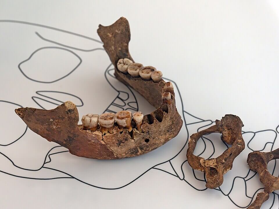 1764582008 372 entre los estereotipos y la ciencia