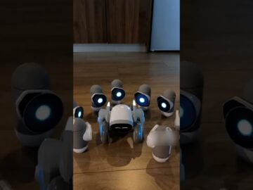 1765530123 maxresdefault