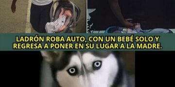 CC 2830014 75f5bc7ab68143d1a73563ffe6af13ad meme otros es un ladron pero no un monstruo