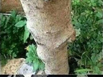 tumblr otivvugv5j1qzfebyo1 5001