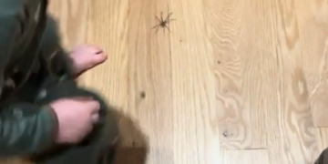 Sin miedo a nada. 1 videoframe 18817