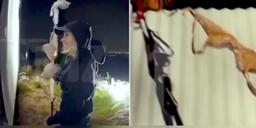 Captura de pantalla 2026 01 27 211141