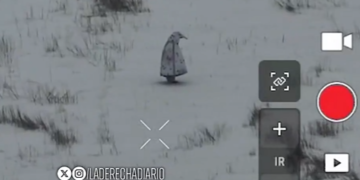 Captura de pantalla 2026 01 27 215556